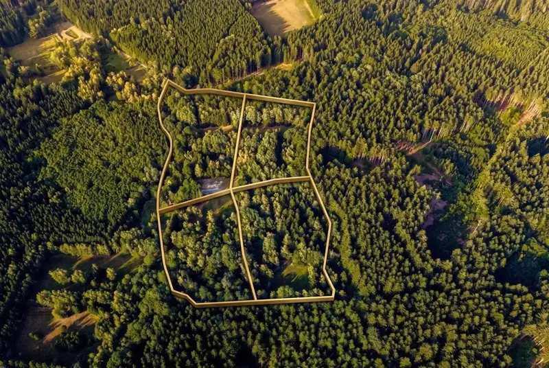 Site plan of the four plots